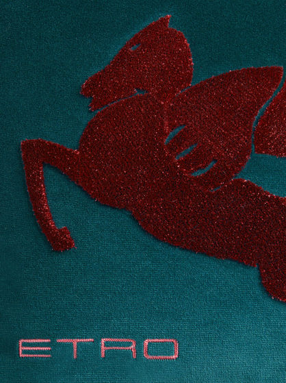 EMBROIDERED COTTON VELVET CUSHION