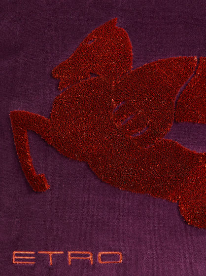 EMBROIDERED COTTON VELVET CUSHION