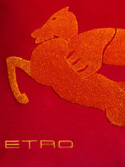 EMBROIDERED COTTON VELVET CUSHION