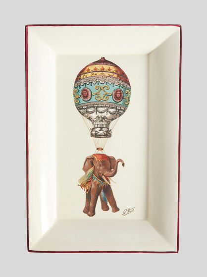TRAY WITH EXOTIC ANIMALS