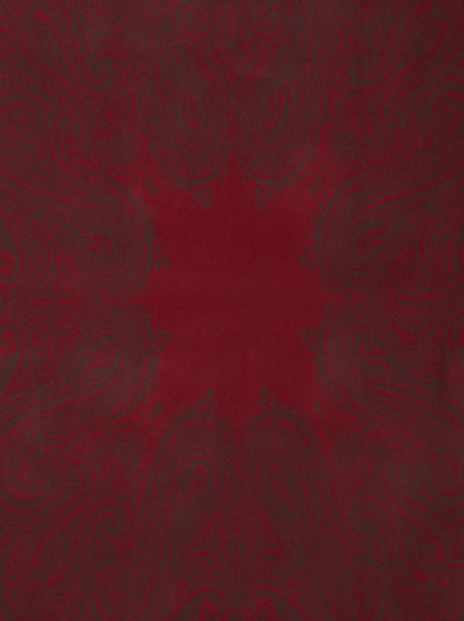 FRINGED PAISLEY THROW
