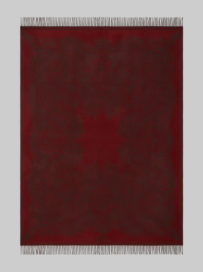 FRINGED PAISLEY THROW
