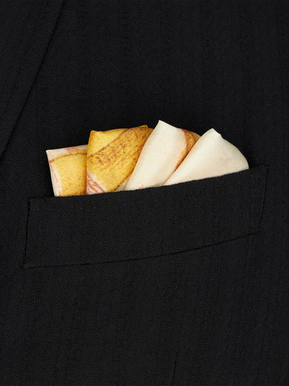 POCKET SQUARE WITH DRAGONFLIES