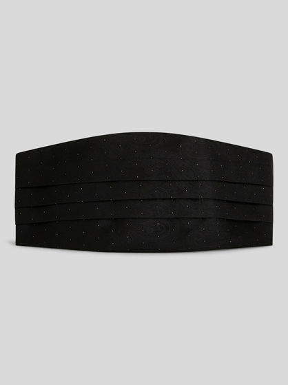 PAISLEY CUMMERBUND