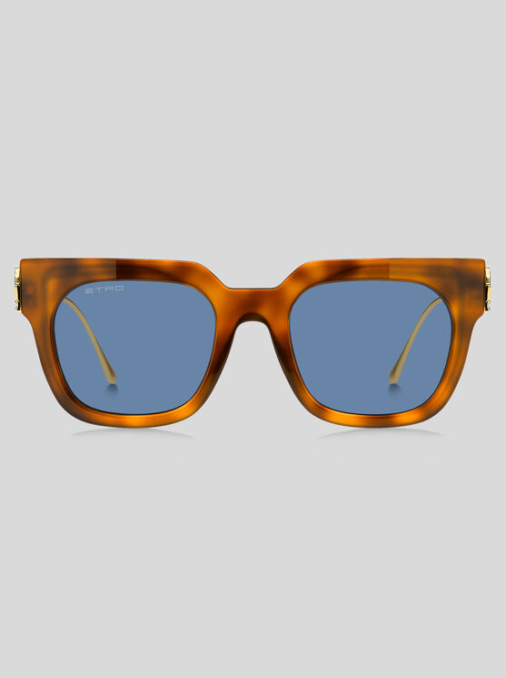 Shop Etro Bold Pegaso Sunglasses In Light Brown