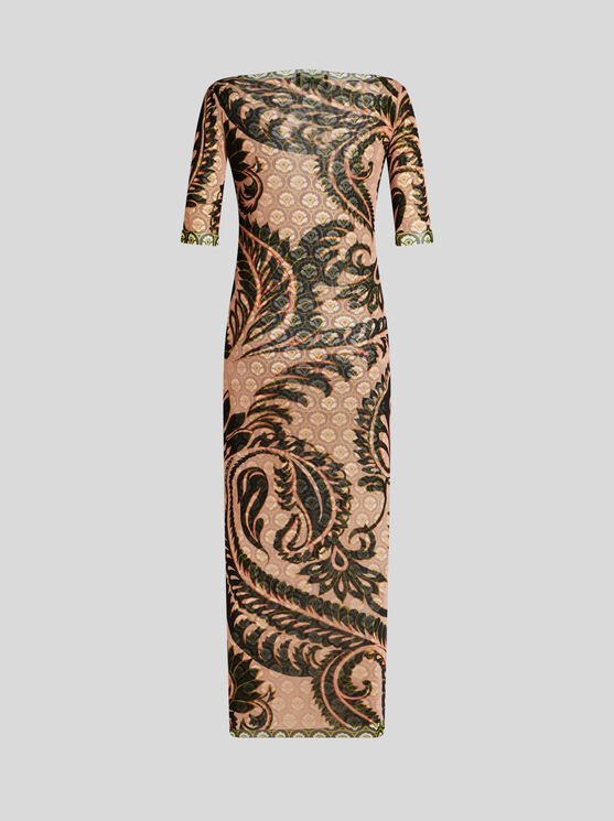 Shop Etro Printed Tulle Dress In Rosa